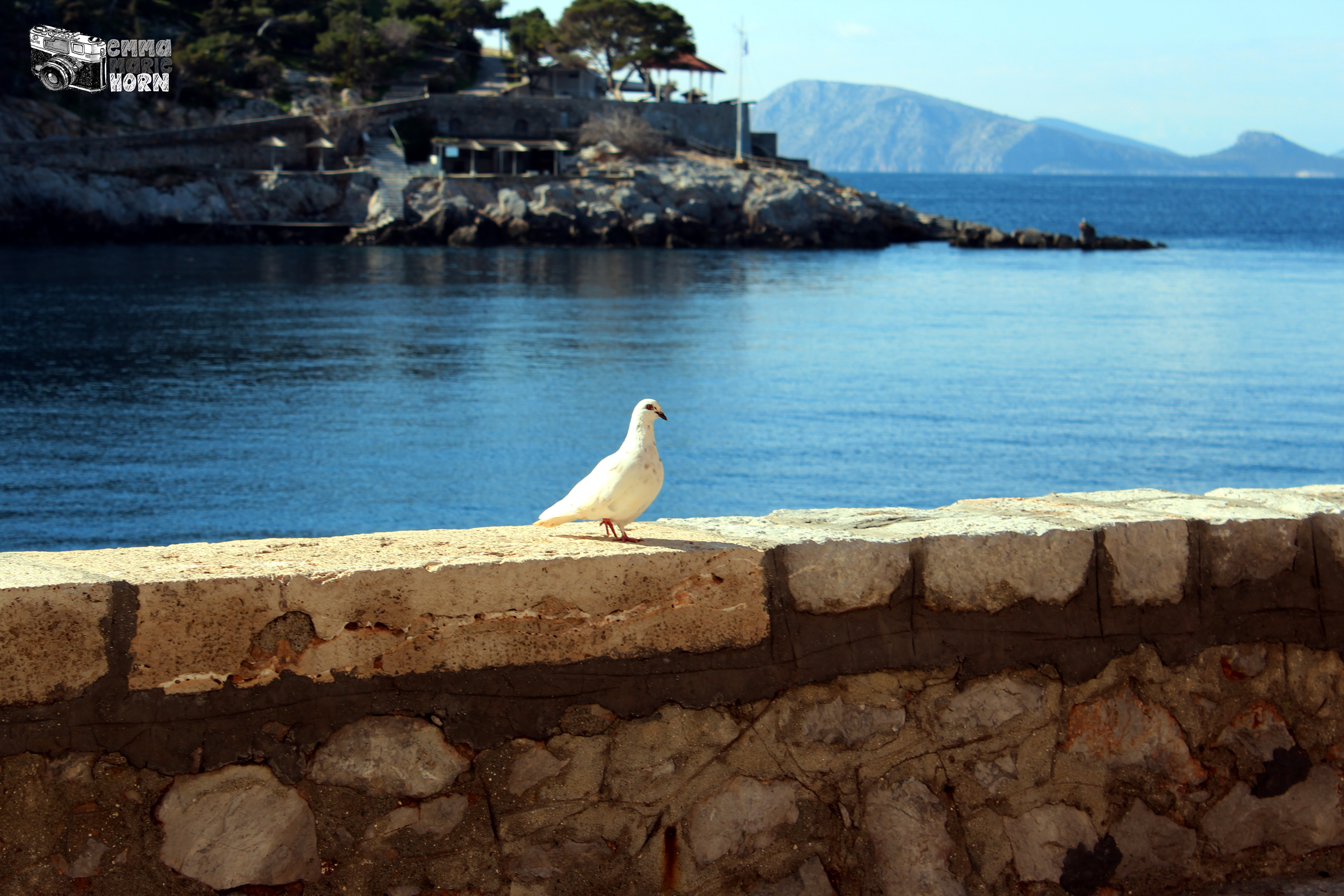 Emma Marie Horn Photography dove over the port of Aegina