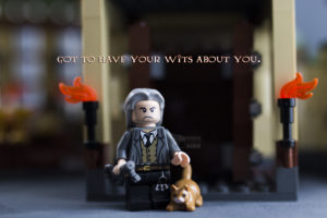Wisdom of Filch. Harry Potter Lego. Photo: Emma Marie Horn